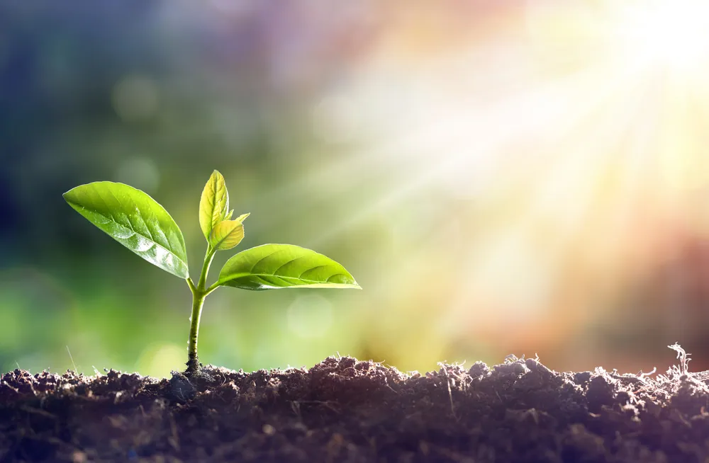 Tips Entrepreneurs Can Use to Cultivate Their Personal Growth